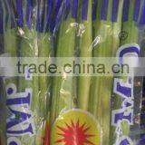 Fresh Celery for Sale Good Quality thumbnail-4