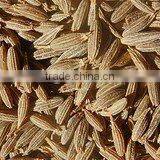 Cumin Seeds thumbnail-3