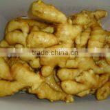 Organic Fresh Ginger thumbnail-3