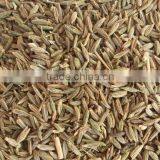 High Quality Cumin Seed thumbnail-1