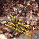 Fish Slicer/fish Shredding Cutting Machine thumbnail-4