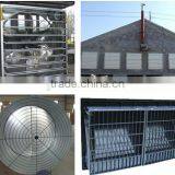Environmental Controlled Automatic Prefabricated Poultry House for Broiler and Layer thumbnail-6
