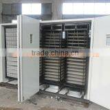 Industrial Incubators for Chickens