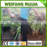 8-15hp Walking Tractor Peanut Harvester ,family Agricultural Peanut Harvesting Machine thumbnail-6