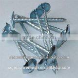 Umbrella Roofing Nails/Corrugated Roofing Nails/ Square Roofing Nails thumbnail-3