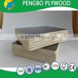 20mm Thick Plywood for Concrete Shuttering thumbnail-3