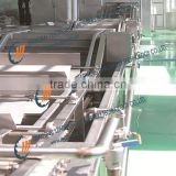 Fruit & Vegetable Cleaning (inspection) Line