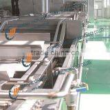 Fruit & Vegetable Cleaning (inspection) Line thumbnail-1