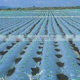 pe Agriculture Film thumbnail-1