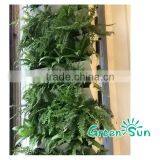 Flora Felt Living Wall Planter Vertical Garden