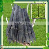 Eco Recycled Plastic Stake for Grape Shed 100mm thumbnail-4