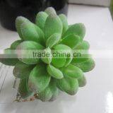 CHY040920 Selling Artificial Plants Succulent Tropical Plant Artificial Desert Plants thumbnail-5
