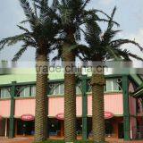 SJ12001204 Fake Plastic Big Trees Plam Tree thumbnail-3