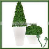 Flower Pot With Some Plants thumbnail-1