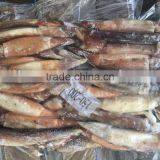 New Landing Seafrozen Wholesale Argentina Squid for Bait thumbnail-1
