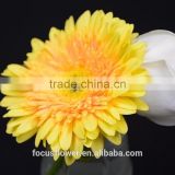 High Quality Natural Fresh Cut Flower Gerbera Flowers