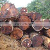 Imaskayu Door Export (m) Sdn. Bhd. company overview - view 3 thumbnail