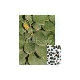 Schisandra Extract(sales22 at Lgberry Dot Com Dot Cn)