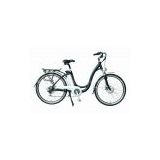 leading manufacturer of electric bike