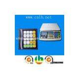 Electronic Scale Panels thumbnail-1