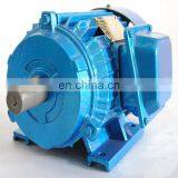 YT Three Phase Induction Motor Price thumbnail-1