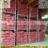 SHANDONG Fresh Ginger, Air Dry Ginger thumbnail-5