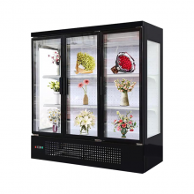 Low Energy Commercial Chiller Flower Shop Display Flowers Chiller Sold in India thumbnail-3