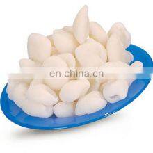FROZEN RAMBUTAN FRUIT PREMIUM QUALITY VIETNAM thumbnail-1