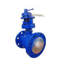 Factory Price High Quality Manual Eccentric Hemispherical Valve Durable Flange Hemispherical Valve thumbnail-4