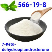 high quality and fast delivery 7-Keto-dehydroepiandrosterone CAS:566-19-8