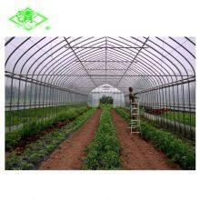 5 Layer UV Agricultural Plastic Film for Greenhouse Tomato Planting thumbnail-3