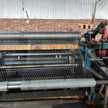 Galvanized Chicken Wire Mesh Fence for Sale/ Hexagonal Iron thumbnail-6