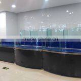 Супермаркет или ресторан APEX могут заказать индивидуально изготовленный аквариум для лобстеров thumbnail-3