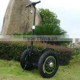 New Model With Remote Controller Zero-emission Green Personal Transportation Electric Chariot(SKD-SG01)