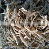 Dried Anchovy (Fillet) thumbnail-3