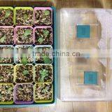Garden Greenhouse,mini Flower House thumbnail-5