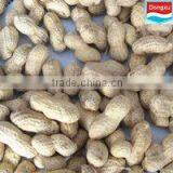 Bulk Peanut in Shell