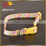 Adjustable Retractable Nylon Dog Leash With Fashion Design thumbnail-5