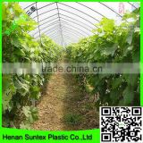 factory price clear plastic film for greenhouse in blue yellow color