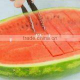 Best Selling Stainless Steel Watermelon With Packing Slicer Watermelon Slicer Corer Server Watermelon Slicer thumbnail-5