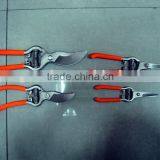 Pruning Shears thumbnail-1