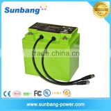 Rechargeable lifepo4 battery forklift battery 48v