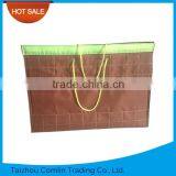 2016 Fashion Design Tote Beach Bag for Ladies thumbnail-1