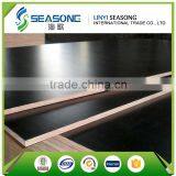Commercial Cheap Film Faced Plywood for Construction thumbnail-6