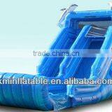 Marble Blue Dolphin Inflatable Water Slide