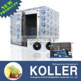 Koller Hot Sale Small Capacity Cold Storage Room With Refrigerators for Fruits VCR20 thumbnail-1