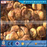 Automatic Rubber Molding Machine for Rubber Pressing With Engineers Available to Service Machinery Overseas/rubber Creper thumbnail-4