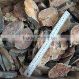 Cat Fish Fillet For Sale thumbnail-5