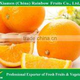 fresh fruits of Navel orange mandarin for malaysia market