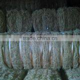 coir net/coconut fibre/coconut mat